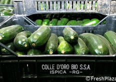 "Nella sua lunga storia, l'azienda Colle D'Oro ha attraversato diverse fasi di evoluzione: dalla monocoltura delle carote, all'abbinamento con altre coltivazioni estensive come le patate, fino ad una specializzazione sempre maggiore nella serricoltura, che ha permesso all'impresa di "giocare d'anticipo" sulla stagione produttiva di pomodori, zucchine e melanzane."