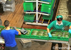 Confezionamento e bollinatura.