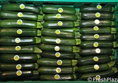 Ottima presentazione del prodotto in cassetta.