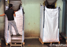 Buona parte delle carote viene spedita in jumbo bag a confezionatori esterni.