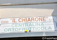 "La cooperativa "Il Chiarone" riunisce un centinaio di soci. Questa storica coop, la cui fondazione risale al 1952, e' specializzata in asparagi (200-250 tonnellate), meloni (3.000 ton) e angurie (4.500-5.000 ton), destinati interamente alla GDO (grande distribuzione organizzata) italiana."