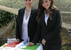 Banco per gli accrediti.