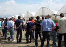 I protagonisti della giornata sono stati: il nuovo peperone mezzo lungo rosso Scintilla; il nuovo portainnesto peperone Capsifort.