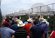 Le visite si sono svolte in due siti produttivi dell'azienda Valcalcer in Loc. Santa Lucia, Battipaglia (SA). Nel primo, si e' potuta osservare una coltivazione intera del peperone Scintilla; Gianni Franco e Francesco Della Rocca, rispettivamente Technical Developer Peperone e Breeder Peperone, hanno illustrato le caratteristiche e le performance dello Scintilla.