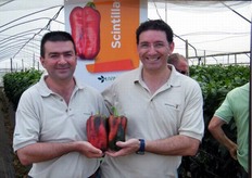 Un saluto ai lettori di FreshPlaza da Gianni Franco TDR Peperone MVS (a sinistra) e Pino Fioretti Sales District Manager MVS (a destra).