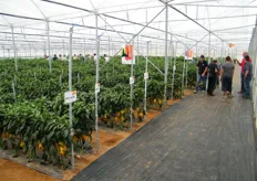 "Lo scorso 16 giugno 2011 si e' svolto un open day "Living proof" Pomodoro e Peperone, organizzato da Monsanto Vegetable Seeds presso il Centro Dimostrativo di Acate (RG)."
