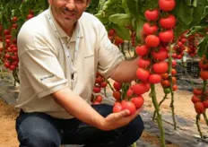 Rosario Privitera, technical developer pomodoro di Monsanto Vegetable Seeds, mostra il DRW 7627.