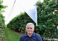 "Lodovico Manzini, titolare dell'azienda agricola, si e' dichiarato molto soddisfatto per questa soluzione. Oltre alla rapidita' delle operazioni di apertura/chiusura dei teli, le coperture hanno protetto il suo investimento produttivo. "L'anno scorso ho gettato via 120 quintali di duroni su 200 - ha detto Lodovico - mentre quest'anno la produzione si e' salvata!"."