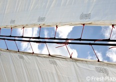 Dettaglio degli agganci dei teli (uno ogni 50 cm) ai sostegni avvolgibili. Di solito, i teli di copertura vengono accoppiati al centro su un unico filo; qui si lavora su due tubi separati, sia per evitare strappi in caso di vento, sia per consentire l'apertura/chiusura meccanica dei teli.