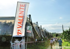 Qui l'impianto di copertura e' stato realizzato dalla ditta Valente.