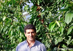 "Aurelio dell'azienda agricola Bonfiglioli ha espresso soddisfazione per l'investimento fatto: "Posso lasciare il prodotto sotto le coperture durante la fase dello sviluppo, in quanto non si crea un microclima sfavorevole sotto i teli e le strutture hanno retto egregiamente anche in presenza di vento forte"."