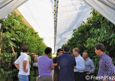 Il giovane Luca (al centro), figlio di Aurelio (az. Bonfiglioli), risponde alle domande dei visitatori.