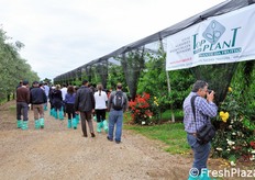 Le visite guidate proseguono nella giornata del 10 giugno 2011, con destinazione impianti cerasicoli in Veneto e Trentino. Qui ci troviamo presso l'azienda Boni Silvano e C. ad Affi (VR).