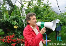 Gino Bassi, incaricato per la frutticoltura della Provincia di Verona fornisce alcune indicazioni tecniche ai partecipanti, indicando nell'impianto qui realizzato un possibile modello per la cerasicoltura del veronese.