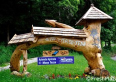 Il viaggio prosegue verso il Trentino. La prossima tappa e' l'azienda agricola Maso Tezza a Telve (TN), tra le aziende socie della cooperativa Sant'Orsola. Dei circa 46 ettari coltivati a ciliegio in questa regione, infatti, la quasi totalita' rientra nella produzione di Sant'Orsola.