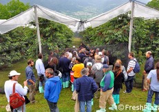 Oggi, grazie alle coperture, il raccolto e' preservato al 90% contro gli agenti atmosferici.