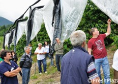 I teli di protezione, prosegue Nischler, si mettono all'inizio dell'invaiatura dei frutti e si mantengono fino alla raccolta. Occorrono 30 ore/ettaro per l'apertura delle coperture e circa 100 ore/ettaro per la loro chiusura.