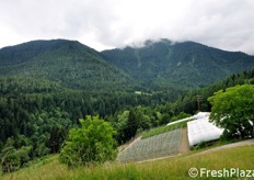 Vista sulle montagne dall'azienda Paris Cristian.