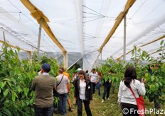 Le visite tecniche in campo si concludono qui. Un ringraziamento agli organizzatori del Convegno Nazionale del Ciliegio per la bella esperienza!