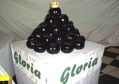"Il 1 giugno 2011 si e' tenuto a Scoglitti (provincia di Ragusa) presso "Il Porticciolo" il primo evento di gala nel 2011 della Southern Seed, dedicato alla melanzana violetta GLORIA F1."