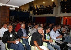 La zona della produzione della melanzana violetta in Sicilia si estende da Niscemi (provincia di Caltanissetta) a Punta Secca (Santa Croce Camerina – provincia di Ragusa).