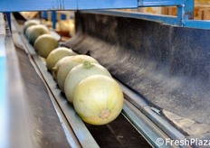 Ingresso nel magazzino.