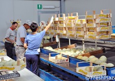 Il prodotto viene dapprima sistemato nelle cassette...