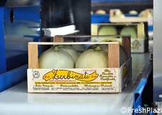 ... per poi transitare sotto la vera novita' di quest'anno: un'apparecchiatura per imprimere a fuoco il marchio Zerbinati su ogni singolo frutto!