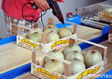 Fase si apposizione del sigillo in cera.