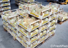 Pallet in fase di formazione.