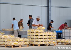 Impilamento delle cassette.