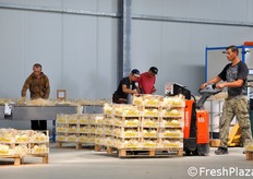 Movimentazione delle cassette.