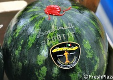 "Ecco il risultato! Come spiega Oscar, figlio del titolare Tonino Zerbinati: "E' un'idea che mi e' venuta proprio leggendo FreshPlaza! L'informazione e' davvero una risorsa preziosa per fare impresa con una marcia in piu'"."