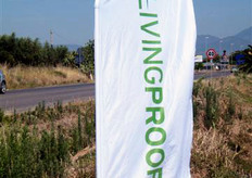 "Lo scorso 23 giugno 2011, il team Monsanto e' stato lieto di accogliere presso l'azienda Ilario Silvano e Marco i piu' importanti tecnici, commercianti, vivaisti e produttori dell'area. L'evento si e' tenuto presso l'azienda del presidente della storica Cooperativa "La Flacca" di Sperlonga (provincia di Latina)."