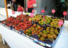 Monsanto ha voluto far toccare con mano a tutti gli attori della filiera i pregi delle varieta' di pomodoro distribuite con il marchio De Ruiter Seeds.