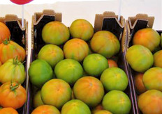 L'insalataro Bengodi (nuova introduzione).