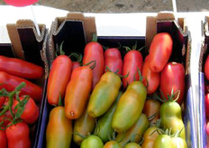 Un dettaglio di Uriburi.