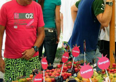 Difficile scegliere!