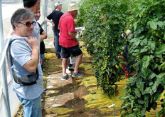 Stupore all'ingresso della serra.