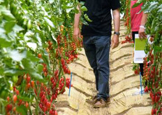 Rocco Parisella, District sales manager per il Lazio, la Sicilia e Malta.