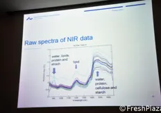 Esempio di spettro ottenuto mediante l'analisi NIR di una semente.