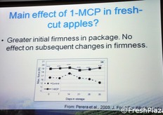 Il principale effetto del 1-MCP sulle mele e' una maggiore consistenza della polpa nelle confezioni di IV gamma.