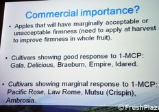 Quali cultivar di mele hanno risposto meglio all'applicazione del metilciclopropene.
