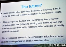 Le prospettive future.