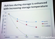 La perdita di acido ascorbico (AsA) negli spinaci in fase di stoccaggio viene accelerata all'aumentare della temperatura.