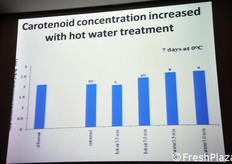 Interessante osservare che, dopo 7 giorni di stoccaggio a zero gradi, il contenuto di carotenoidi negli spinaci sottoposti a trattamento a caldo risulta maggiore rispetto ai campioni non trattati. Nella tabella sono posti a confronto anche i risultati ottenuti mediante trattamento ad aria calda (40 gradi per 3,5 minuti = barra c oppure per 7 minuti = barra ab), oltre che ad acqua (barre a).