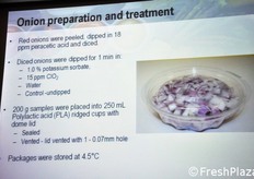 Le fasi dell'esperimento.