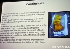 Le conclusioni dello studio.