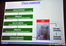 Le fasi della sperimentazione.