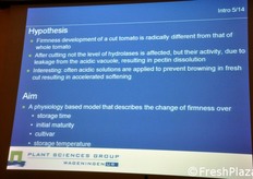 Le ipotesi di partenza e l'obiettivo finale della ricerca.